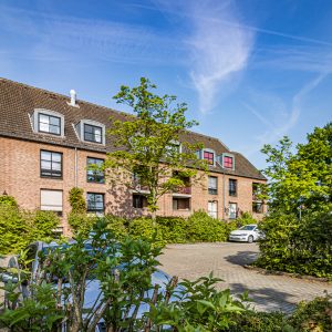 PKW Parkplätze auf dem Grundstück