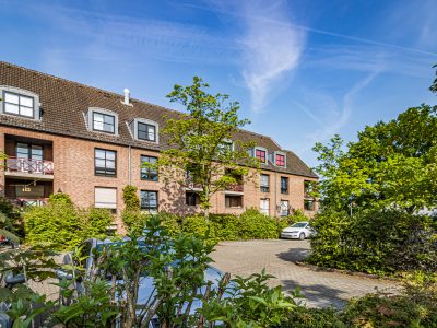 PKW Parkplätze auf dem Grundstück